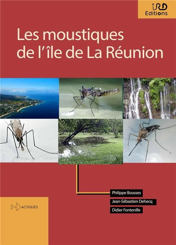 Les moustiques de l'île de La Réunion