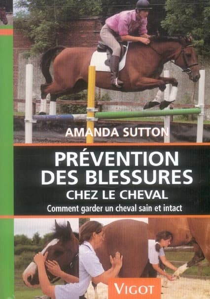 Prévention des blessures chez le cheval : comment garder un cheval sain et intact