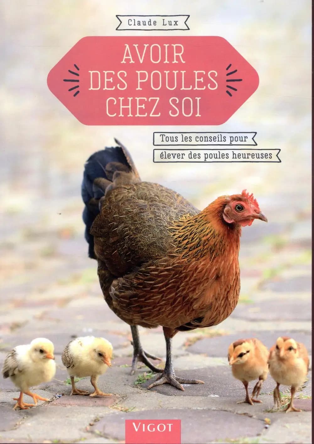 Avoir des poules chez soi : tous les conseils pour élever des poules heureuses