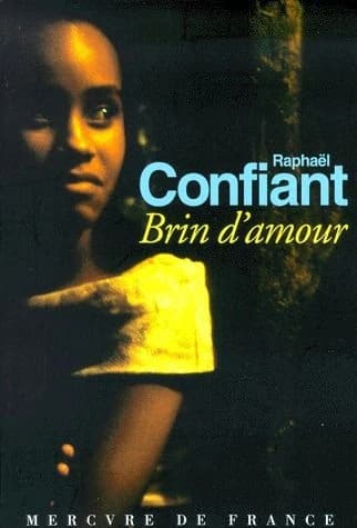 Brin d'amour : roman