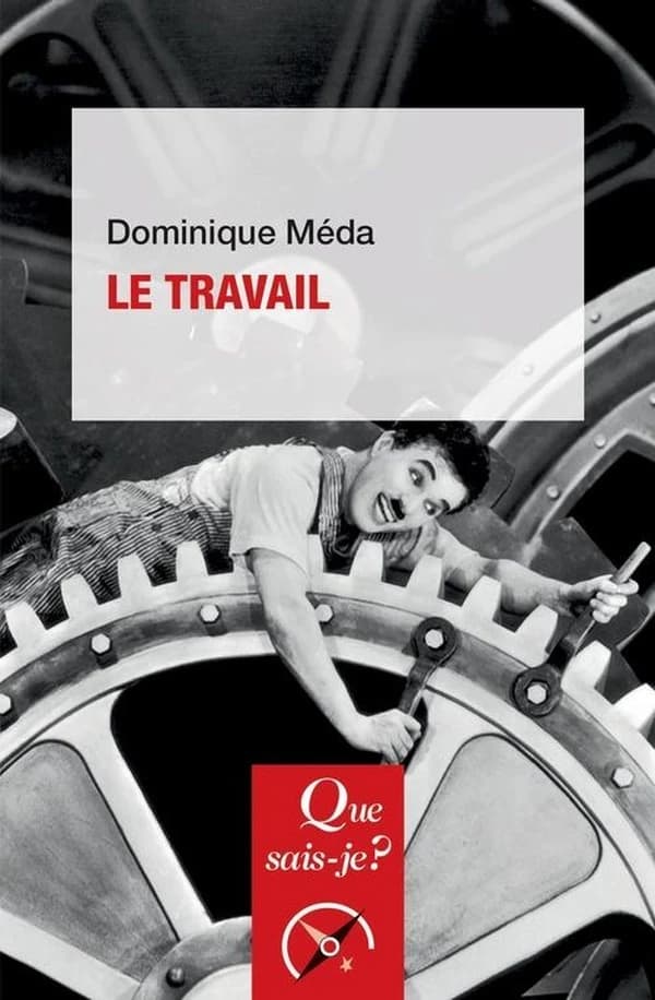 Le travail (8e édition mise à jour) Dominique Méda