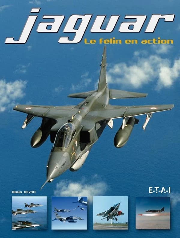 Jaguar : le félin en action