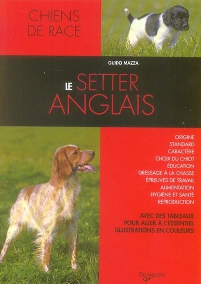 Le setter anglais