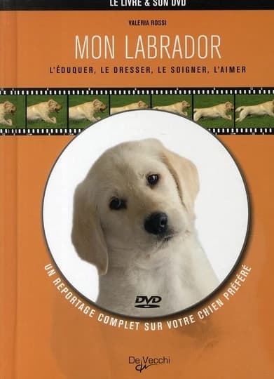 Mon labrador