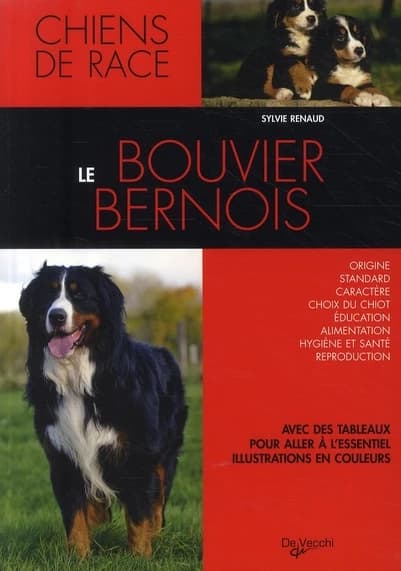 Le bouvier bernois (Nouvelle éd. mise à jour) Sylvie Renaud