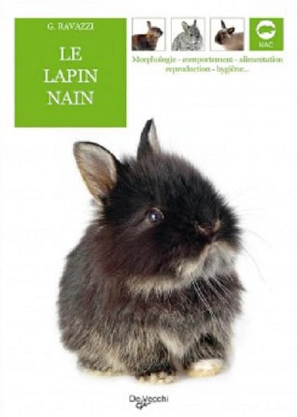 LAPIN NAIN (French Edition)