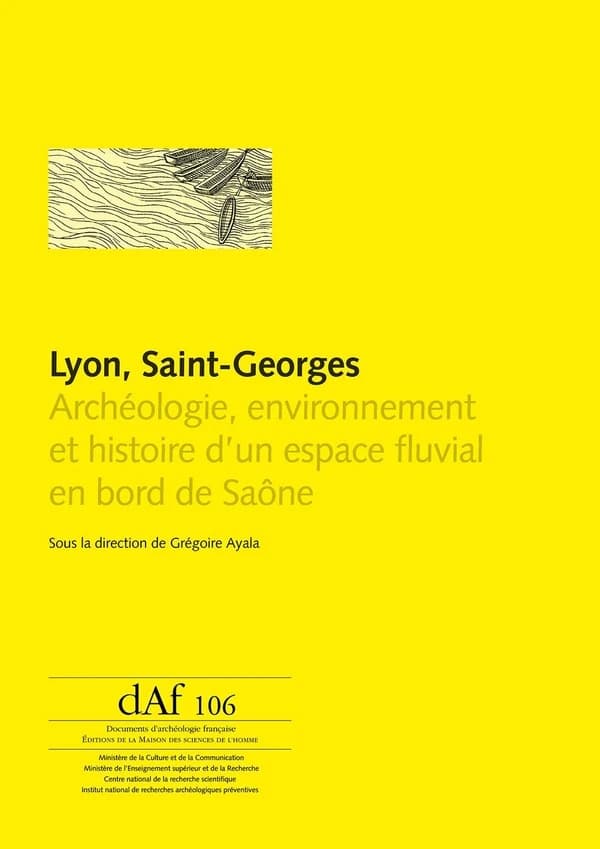 Lyon, Saint-Georges : archéologie, environnement et histoire d'un espace fluvial en bord de Saône