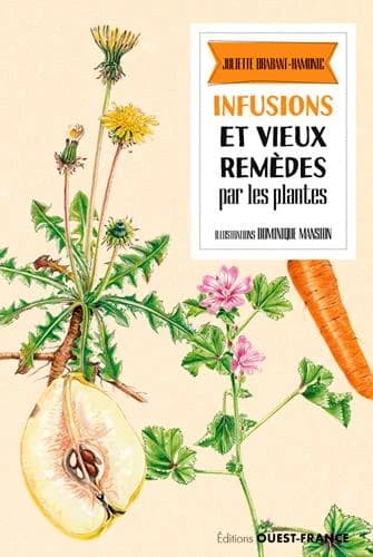 Infusions et vieux remèdes par les plantes