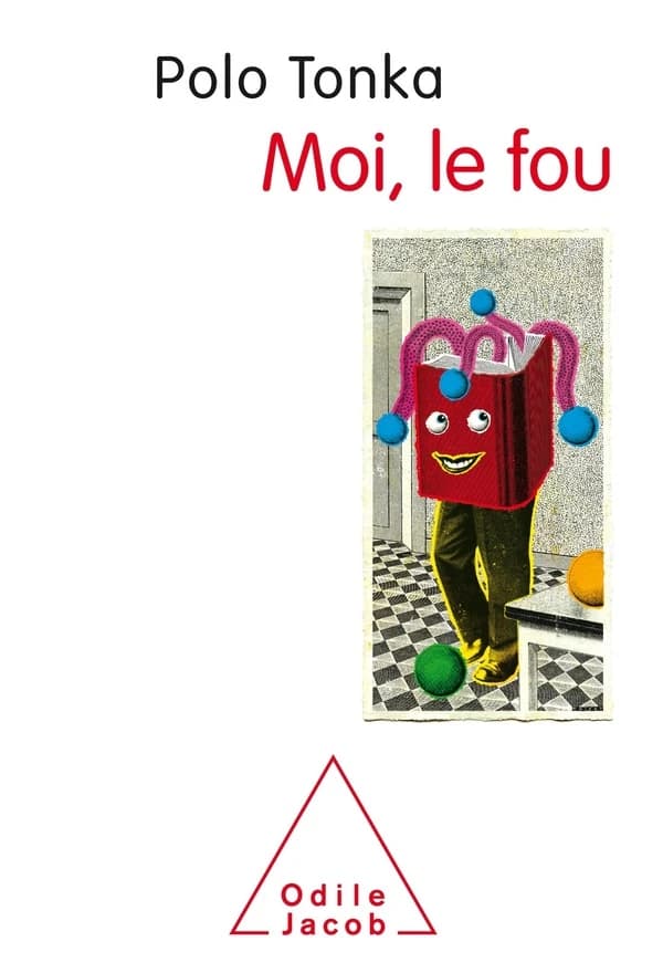 Moi, le fou : roman