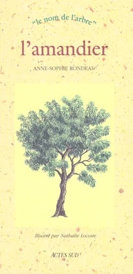 L'amandier