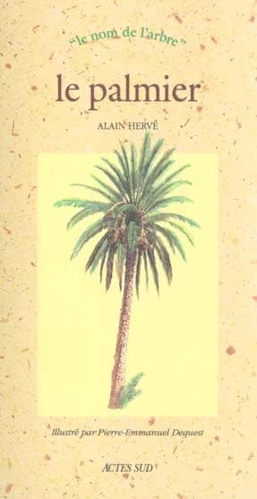 Le palmier