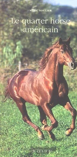 Le Quarter horse américain