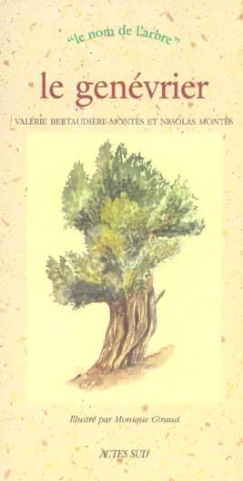 Le genévrier