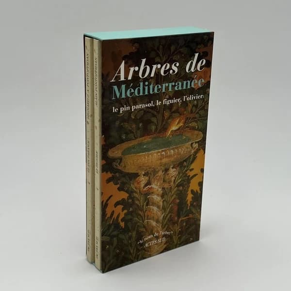 Arbres de Méditerranée ; le pin parasol, le figuier, l'olivier
