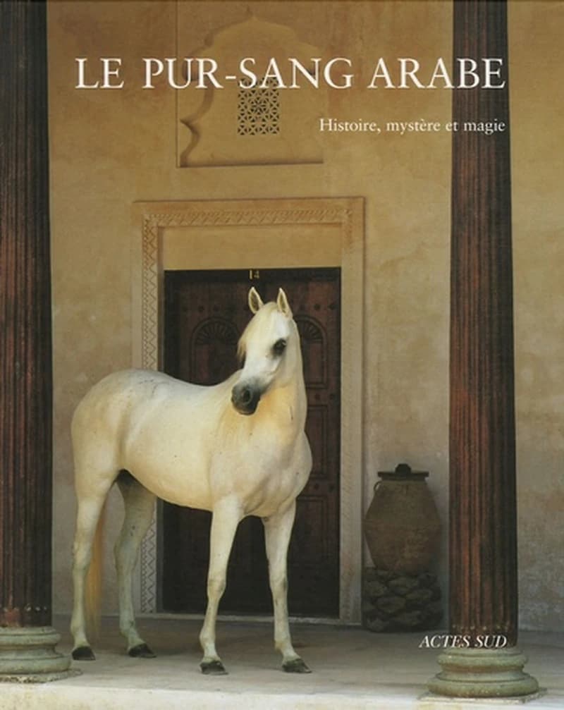Le pur-sang arabe : histoire, mystère et magie