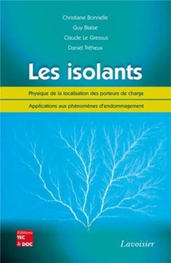 Les isolants : physique de la localisation des porteurs de charge : applications aux phénomènes d'endommagement