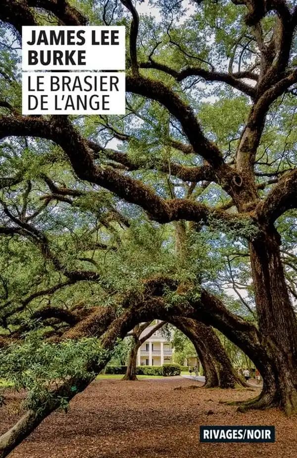 Le brasier de l'ange
