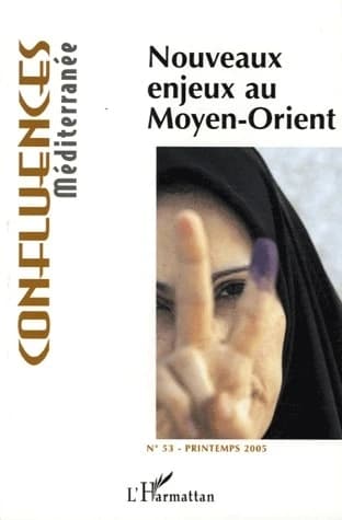 NOUVEAUX ENJEUX AU MOYEN-ORIENT