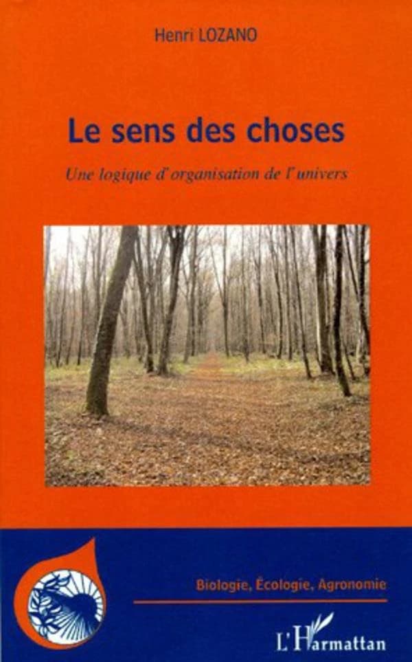 Le sens des choses : une logique d'organisation de l'univers