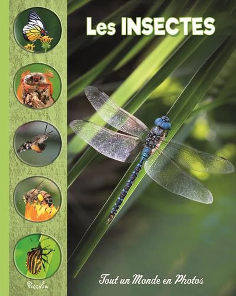 Tout un monde en photos : les insectes