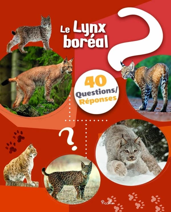 Le lynx