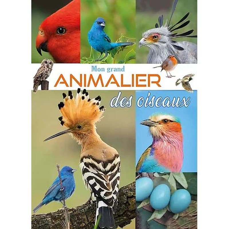Mon grand animalier des oiseaux