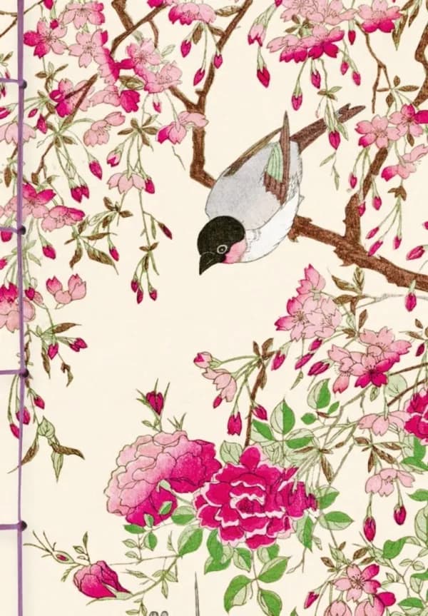 Carnet Hazan gaufré : Oiseaux