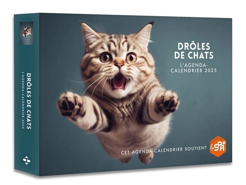 Agenda-calendrier : Drôles de chats (édition 2025)