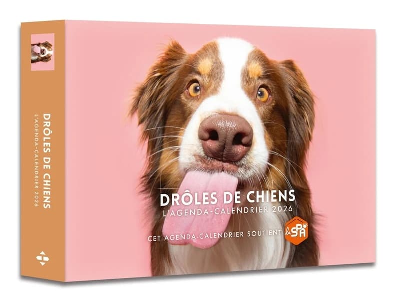 Agenda-calendrier : Drôles de chiens (édition 2026)
