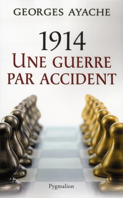 1914, une guerre par accident