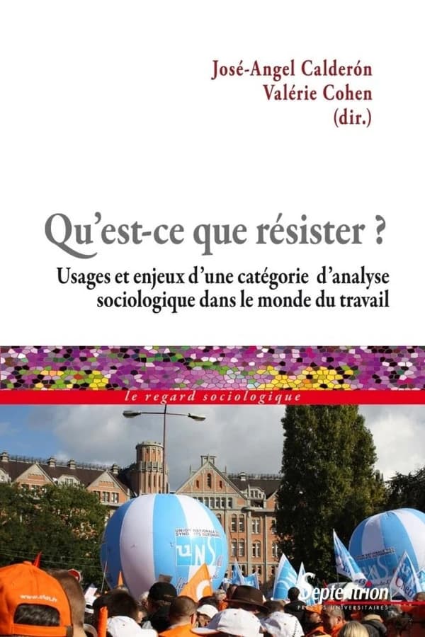 Qu'est-ce que résister ? : usages et enjeux d'une catégorie d'analyse sociologique