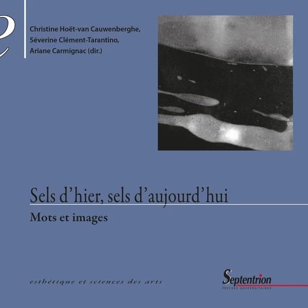 Sel d'hier, sels d'aujourd'hui : mots et images