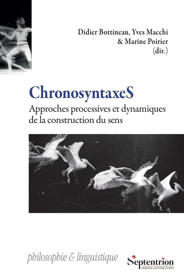 Chronosyntaxes : approches processives et dynamiques de la construction du sens
