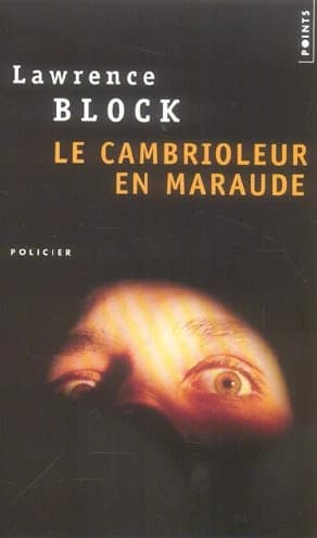 Le cambrioleur en maraude : roman