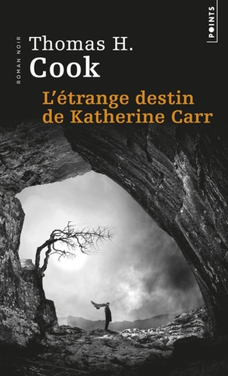 L'étrange destin de Katherine Carr : roman