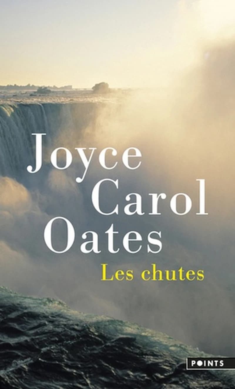 Les Chutes : roman
