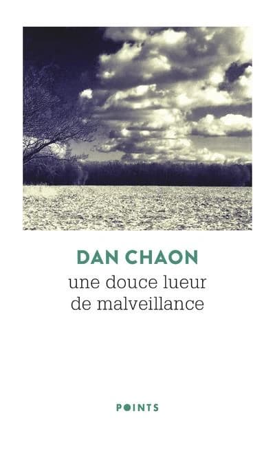 Une douce lueur de malveillance : roman