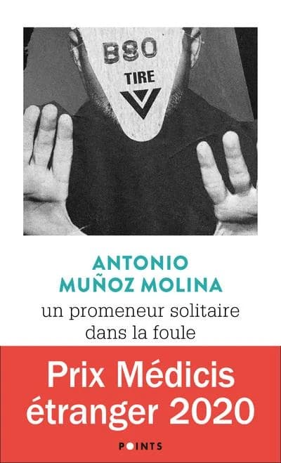 Un promeneur solitaire dans la foule : roman