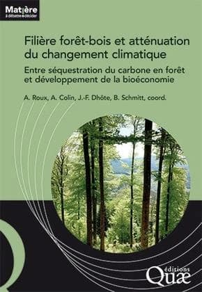 Filière forêt-bois et atténuation du changement climatique : entre séquestration du carbone en forêt et développement de la bioéconomie