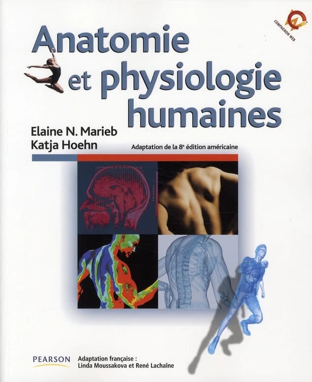 Anatomie et physiologie humaines