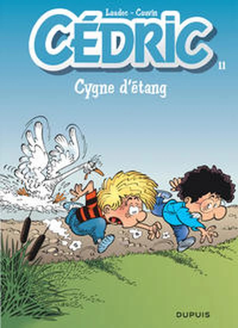 Cygne d'étang
