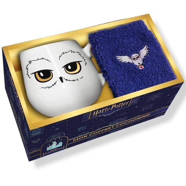 Mon coffret cocooning Harry Potter : Avec 1 mug et 1 paire de chaussettes