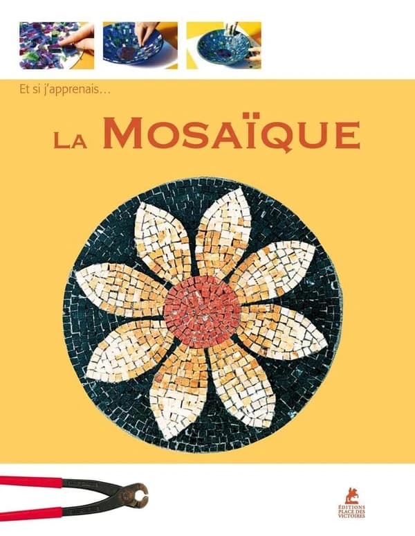 ET SI J'APPRENAIS Tome 13 : la mosaïque