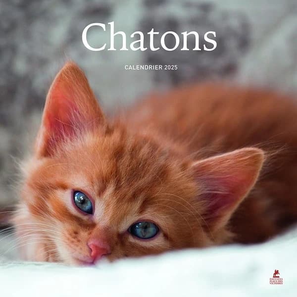 Chatons : calendrier (édition 2025)