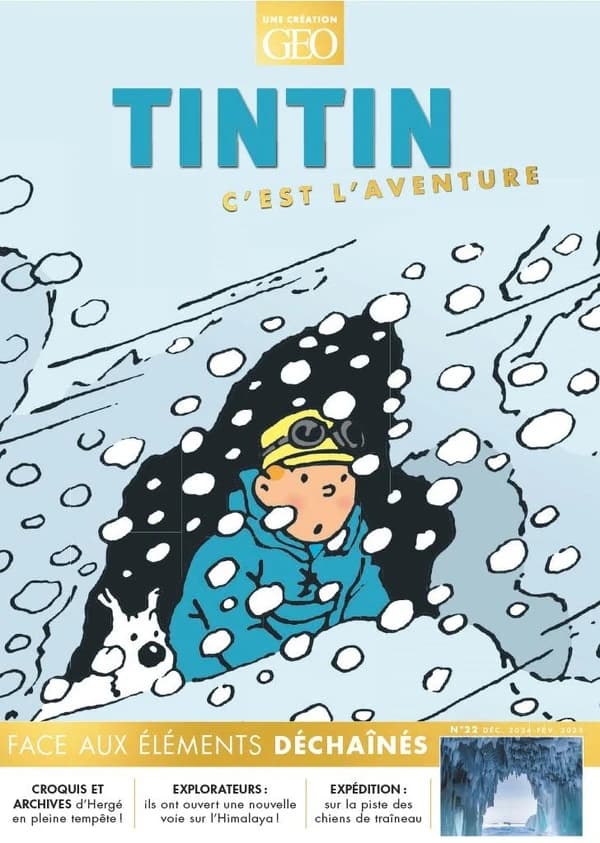 Tintin, c'est l'aventure : Face aux elements dechaines. 22