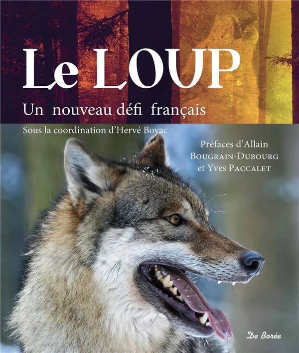 Le loup : un nouveau défi français