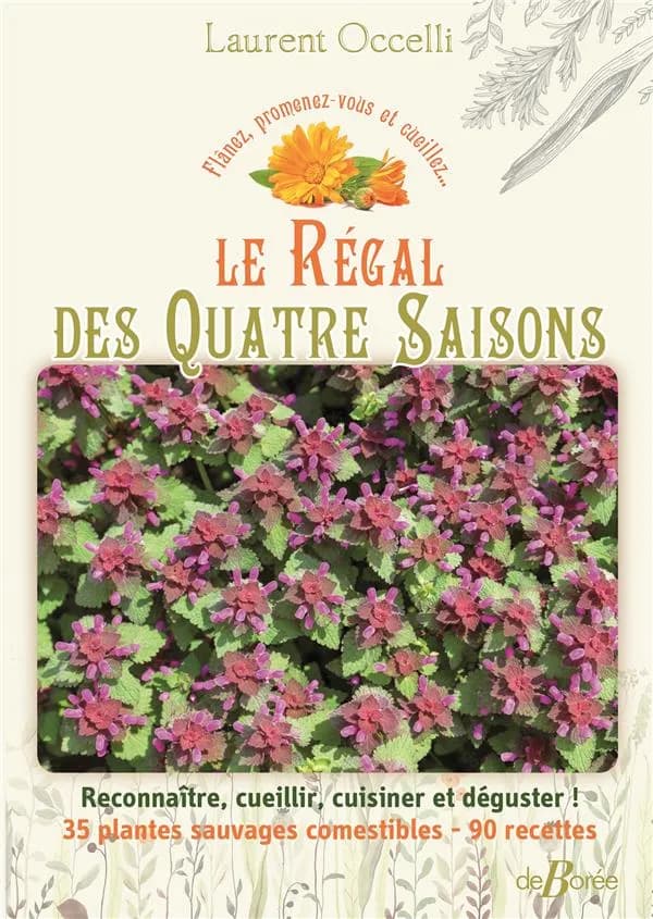 Le régal des quatre saisons : reconnaître, cueillir, cuisiner et déguster ! : 35 plantes sauvages comestibles, 90 recettes