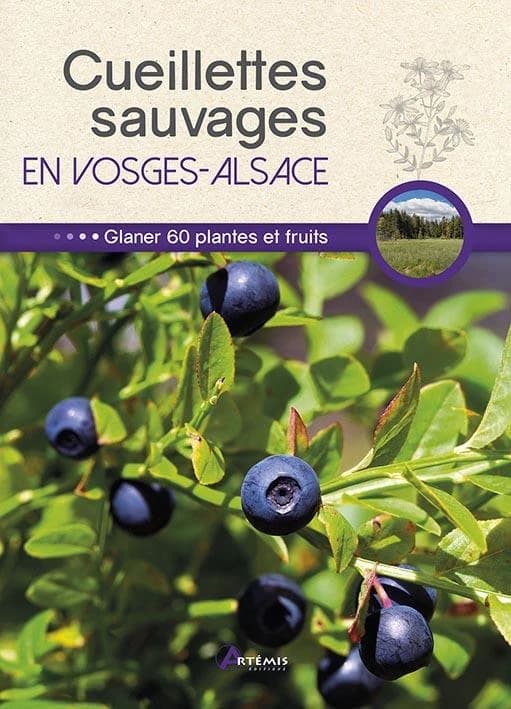 Cueillettes sauvages en Vosges-Alsace : 60 plantes et fruits à glaner
