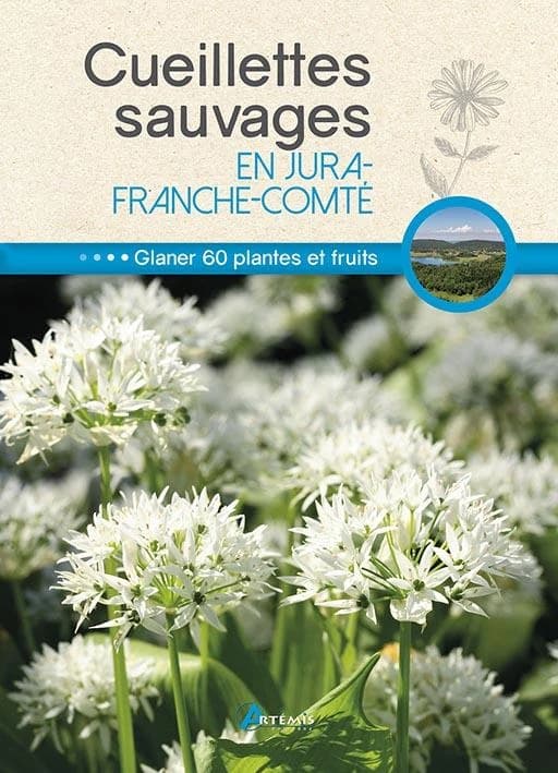 Cueillettes sauvages en Jura-Franche-Comté : 60 plantes et fruits à glaner
