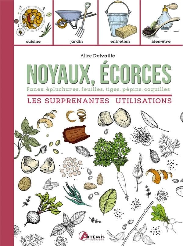 Noyaux, écorces : fanes, épluchures, feuilles, tiges, pépins, coquilles : les surprenantes utilisations